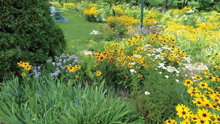 jardin fleurs