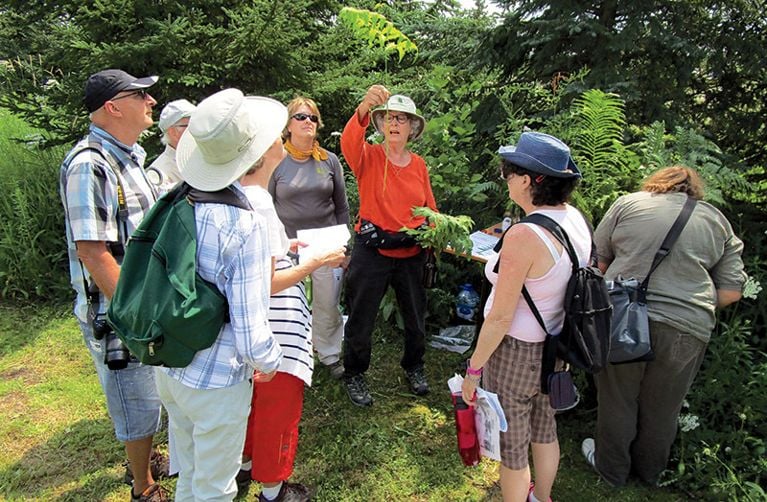 Science citoyenne : mon jardin est un labo