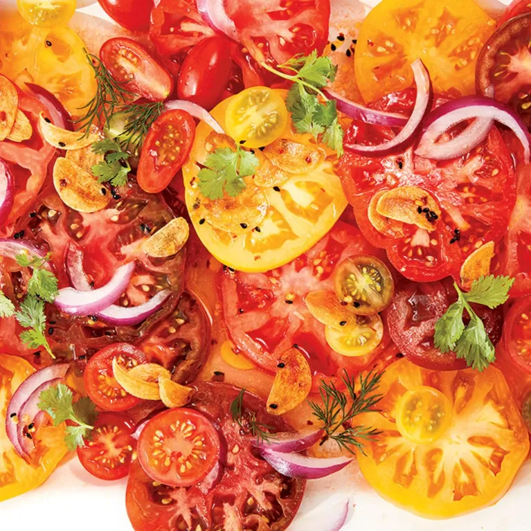 Tomates : nos meilleures recettes pour les savourer