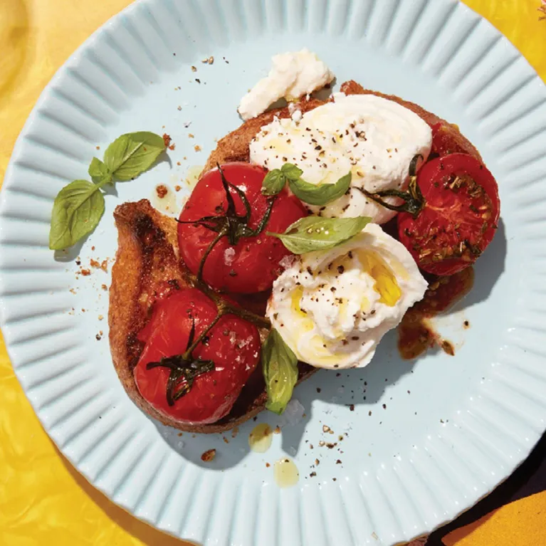 Tomates : nos meilleures recettes pour les savourer