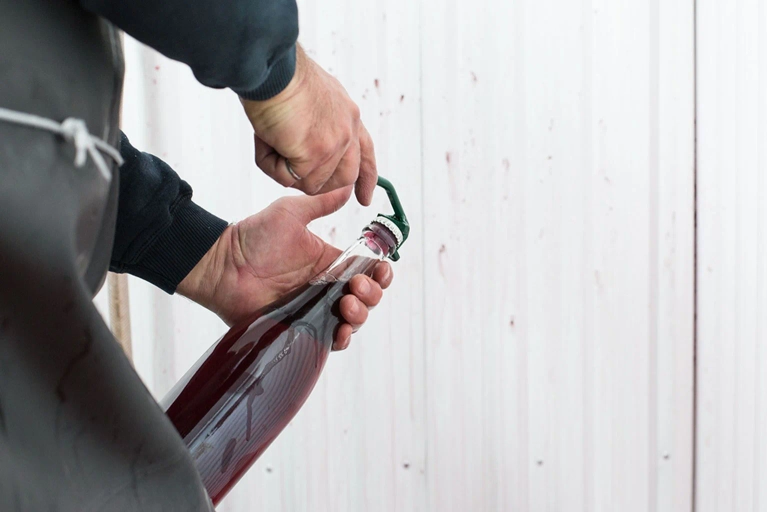 14 vignobles à visiter au Québec