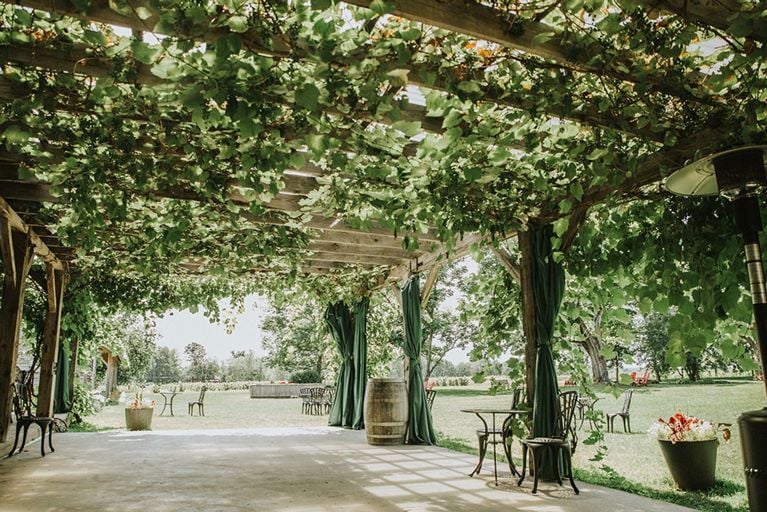 14 vignobles à visiter au Québec