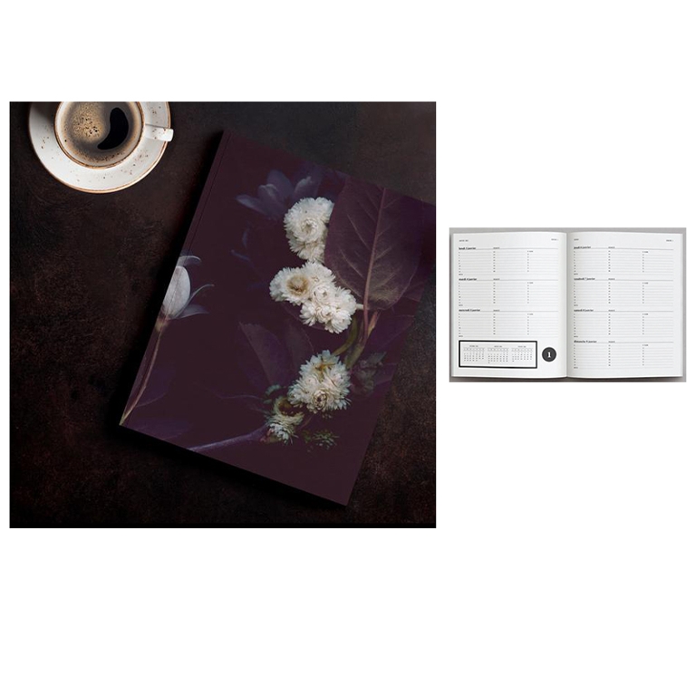 Agendas : pour filles organisées (ou pas !)