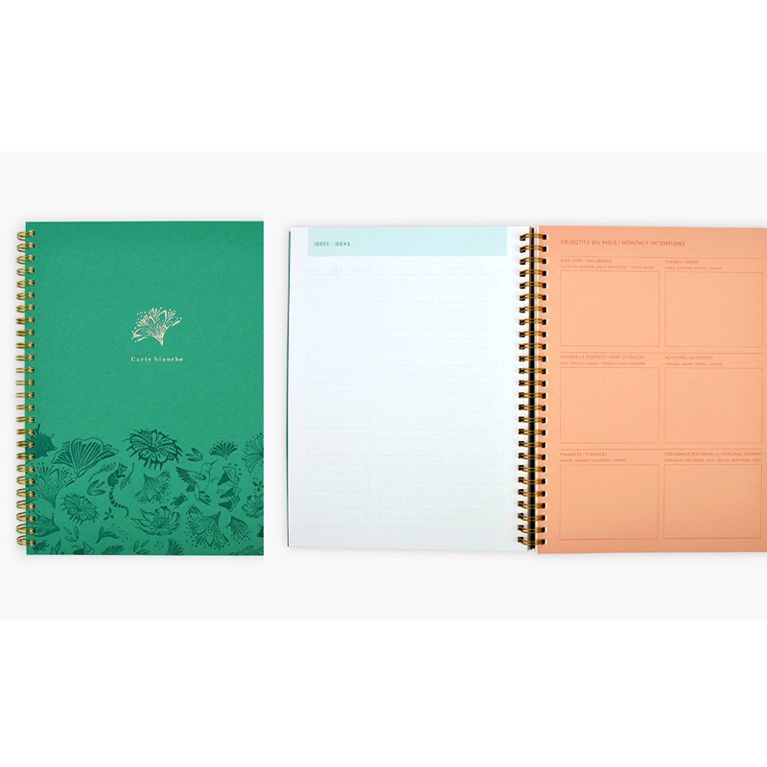 Agendas : pour filles organisées (ou pas !)