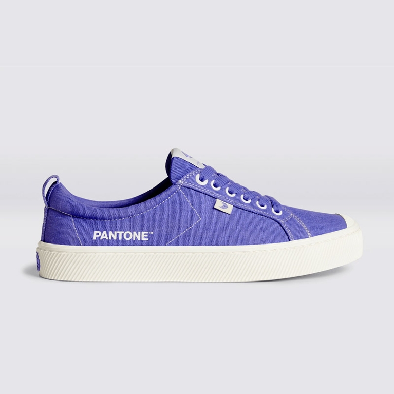 Couleur Pantone 2022 : 15 objets pour être dans la tendance