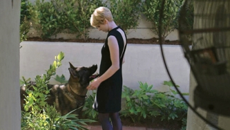 Cinéma : Chien blanc de Romain Gary adapté par Anaïs Barbeau-Lavalette