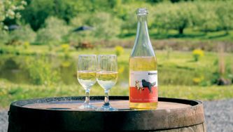 Ferme cidricole Équinoxe : un verger à découvrir