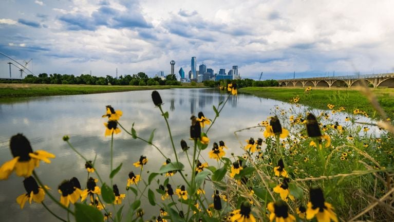 7 régions du Texas pour tous les types de voyageurs