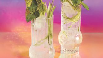 Shrub à la menthe et au concombre