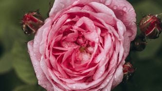 Sécheresse vaginale: des solutions et des lubrifiants à essayer