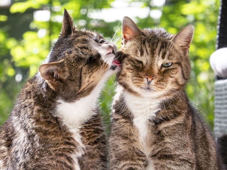 Pourquoi est-il si difficile d'initier une relation sexuelle?
