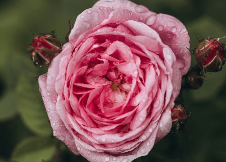 Sécheresse vaginale: des solutions et des lubrifiants à essayer