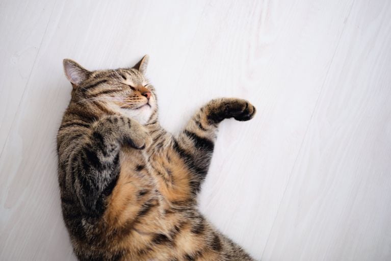 Pourquoi dormez-vous si mal?