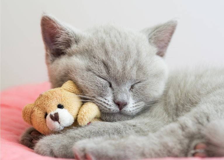 Pourquoi dormez-vous si mal?