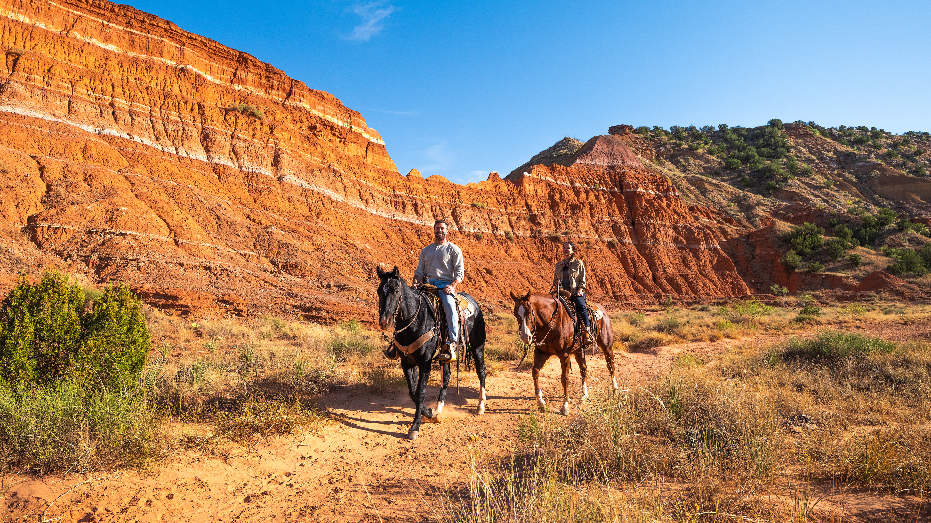 Explorez le Texas : ranchs, rodéos et autres aventures